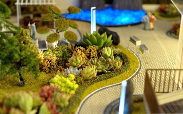 『案例』你可曾想过,用多肉植物来做沙盘?.