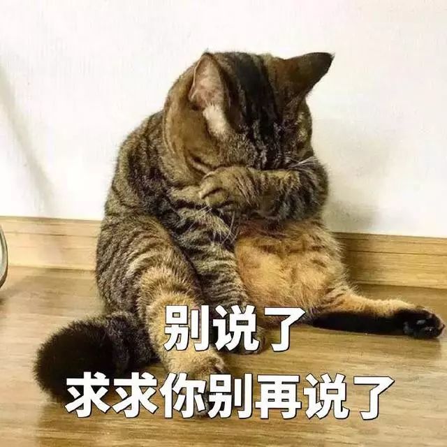 猫咪表情包:没人疼没人爱我是地里一颗小白菜