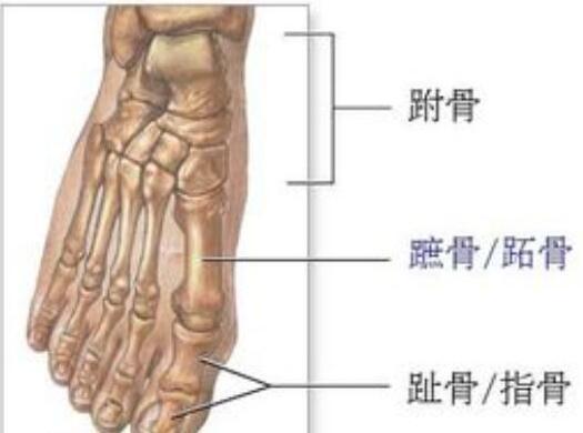 巴萨官方:布斯克茨右脚趾骨骨折 预计伤缺三周