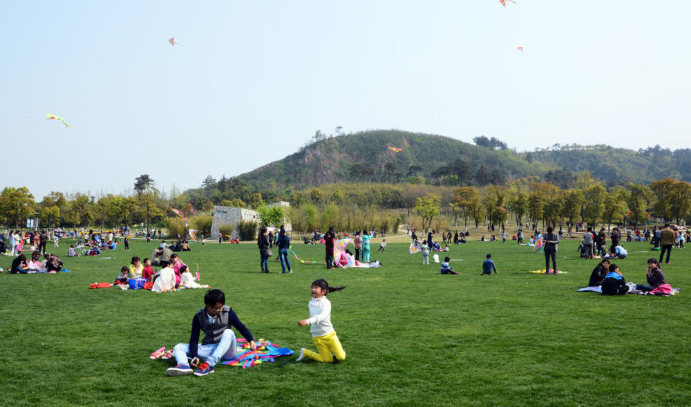 都不必争执,欣赏这首经典放风筝古诗吧,开头就