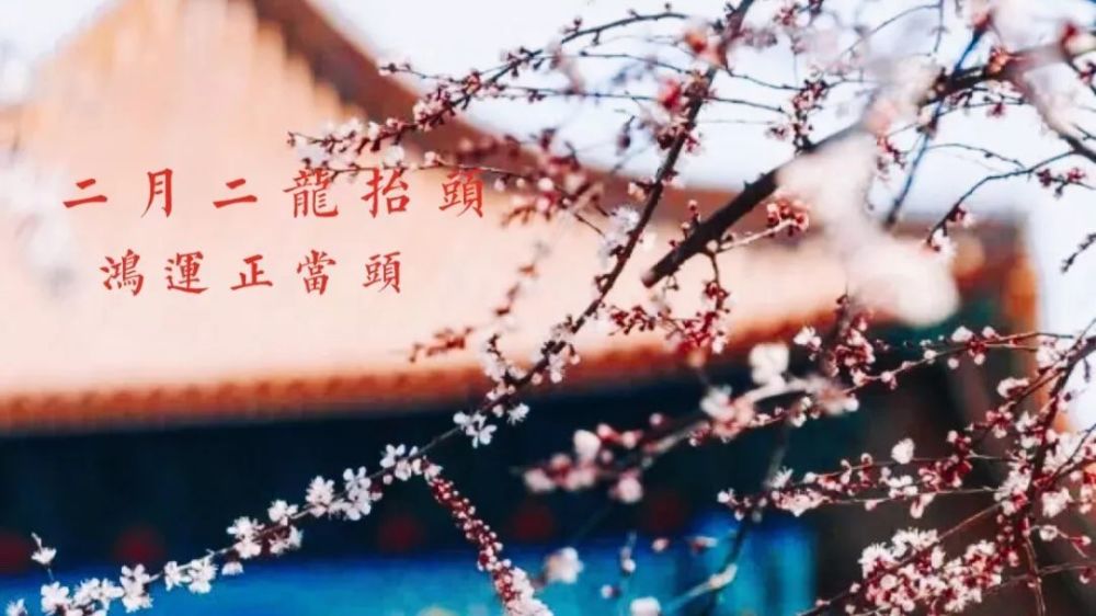 "二月二剃龙头,一年都有精神头" 相传农历二月二是蛰龙升天的日子