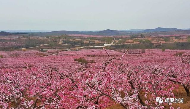 汶石村人口_台山汶村晚上图片