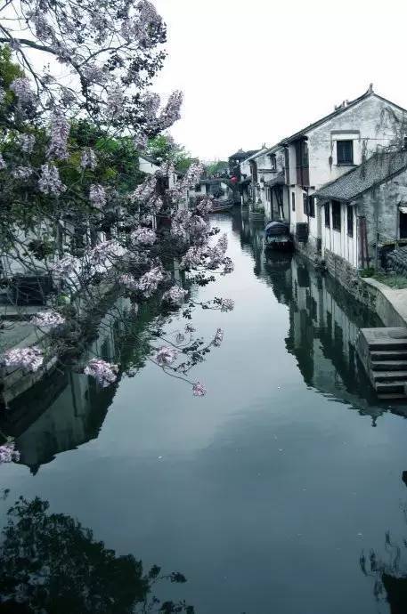 正是江南好风景,落花时节又逢君