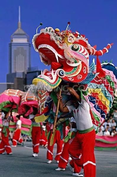 二月二,龙抬头,一年鸿运好兆头!