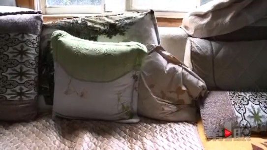 ����Ůͯ�����ڼ� �Ӵ�̨׹������ 