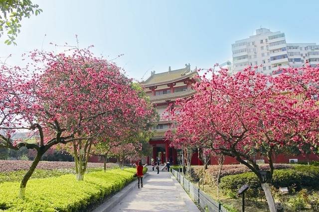 人民公园