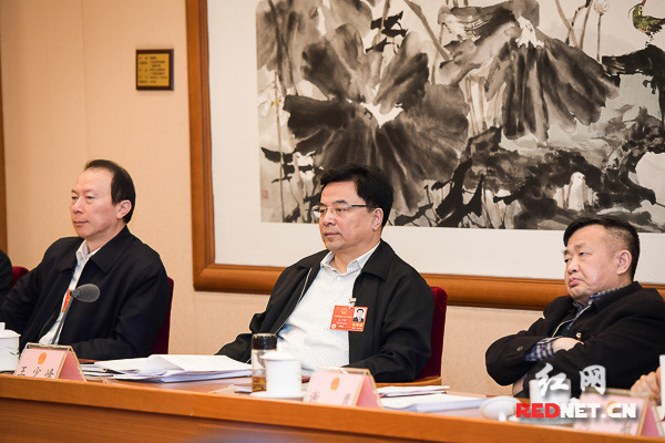 时刻直击两会花絮:盘点全国人代会上的湖南表