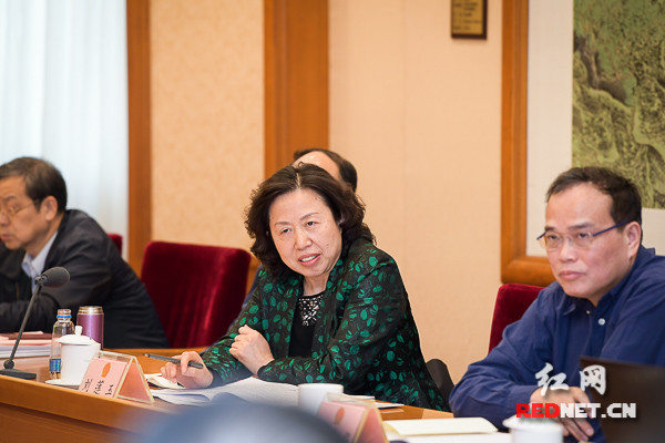 时刻直击两会花絮:盘点全国人代会上的湖南表