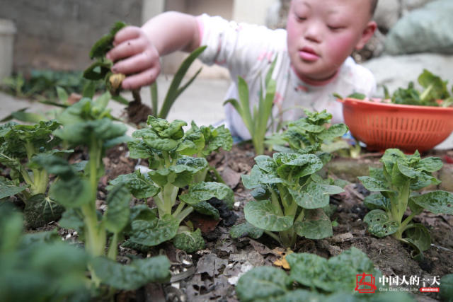 中国人的一天:唐氏患儿里的优等生 阿姨别怕,