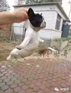 640