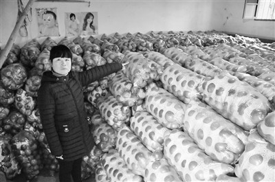 气温升高苹果堆满库 淳化县永丰村果农心焦