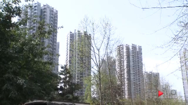 申请公租房还能走后门？没见房子先掉坑