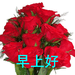 大家早上好问候语图片动态的表情包图片 早上好图片搞笑动态图大全