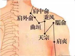 肩中俞:咳嗽,气喘,肩背疼痛
