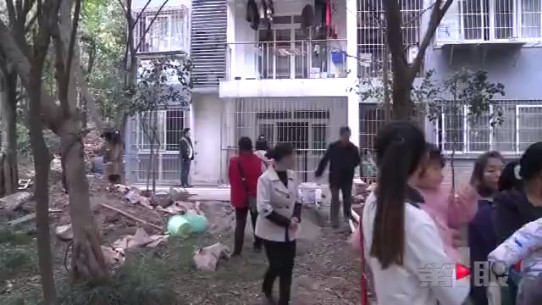 业主装修太霸道 违规侵占公共绿地