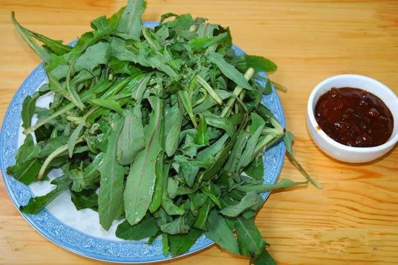 带你认识河间本地的野菜,再考考你会不会吃野菜!