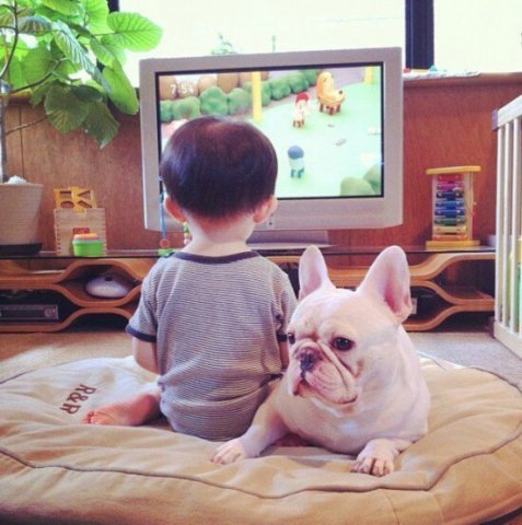 一位妈妈拍给儿子的一组红遍全球的照片,心都