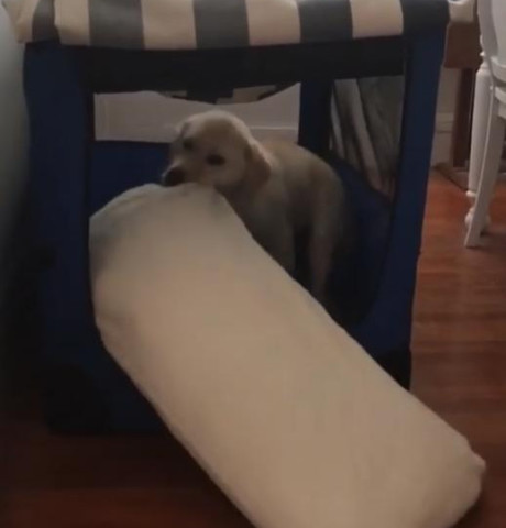 640