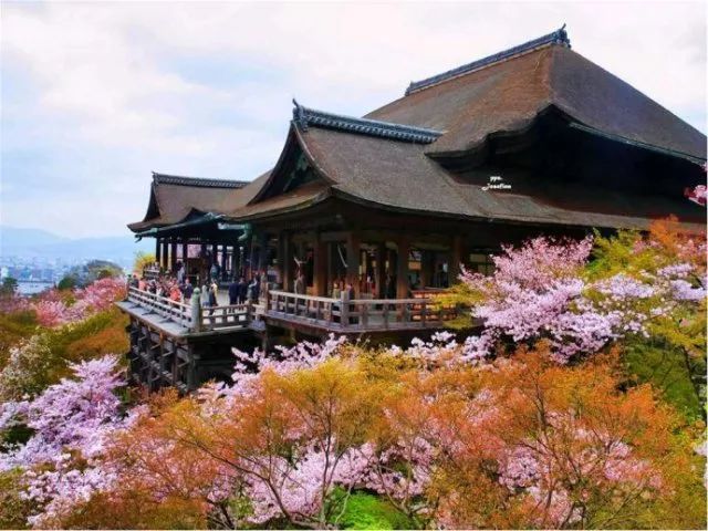 京都清水寺