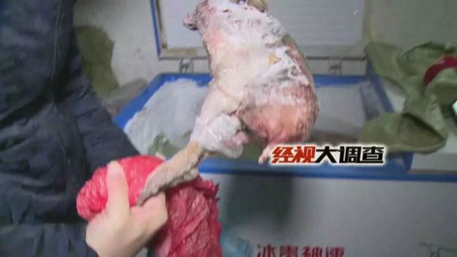 娄底一土特产店多次贩卖野生保护动物 面对记