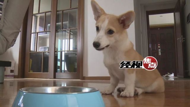 长沙9岁女孩患怪病脸起红疹 鼻子、嘴巴肿胀