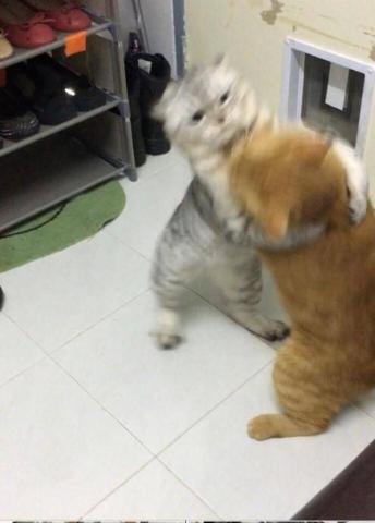 640