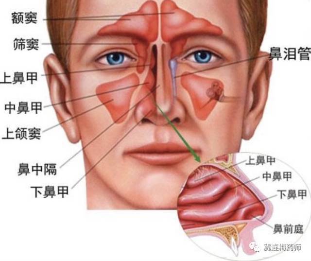 秋天到了对付过敏性鼻炎你需要的十八般兵器都在这儿了