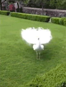 640