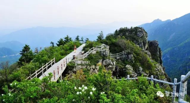 柞水秦岭洞天福地景区(柞水溶洞·古道岭),牛背梁景区