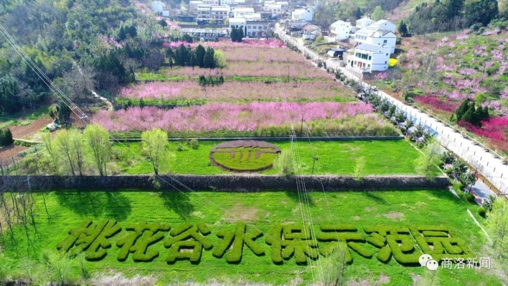 桃花,桃花谷,丹凤,丹凤县,竹林,沪陕高速,棣花古镇,商洛,竹林关镇