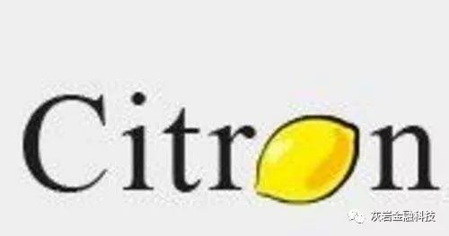 港股金融狙击战--造假者的金钱游戏