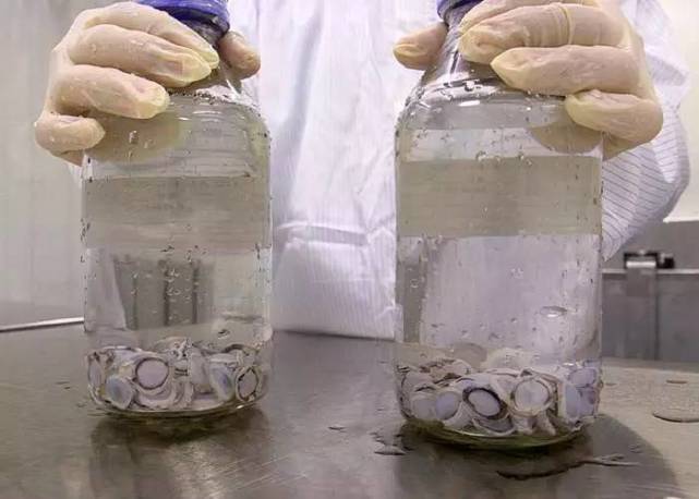 BBC关注中国科学革命5个“高大上”工程