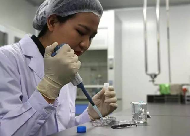 BBC关注中国科学革命5个“高大上”工程