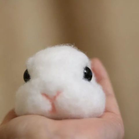 640