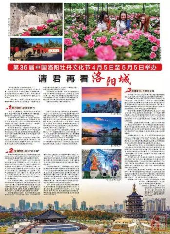 洛阳人口报_洛阳牡丹