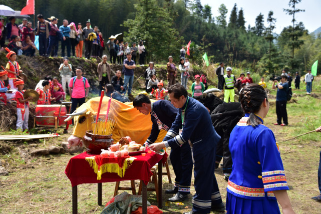 广东年轻人体验农民种田，直接在泥浆里打滚