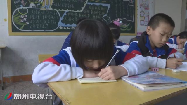大学生占全国人口比例扇形图_人口老龄化扇形图(2)