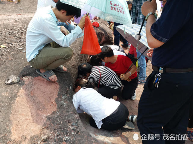 清明祭祖，茂名千人争相“挖泥”