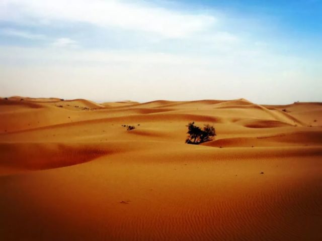 中卫GDP增速_中卫66号公路图片(3)