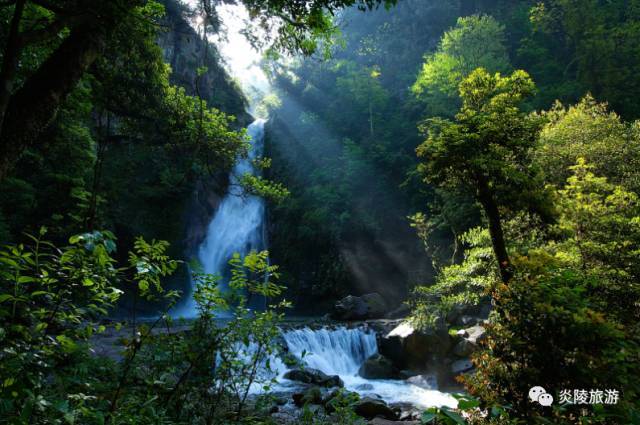 去哪里拍抖音能火!夏一站我在株洲神农谷等你