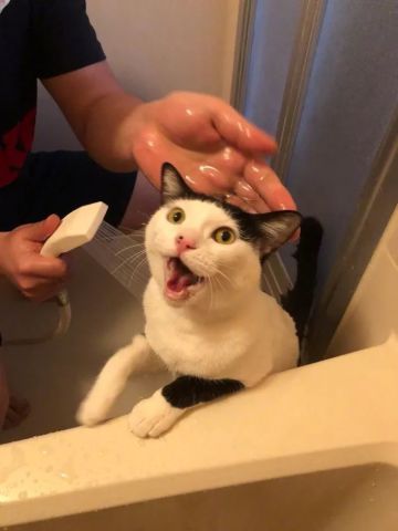 640