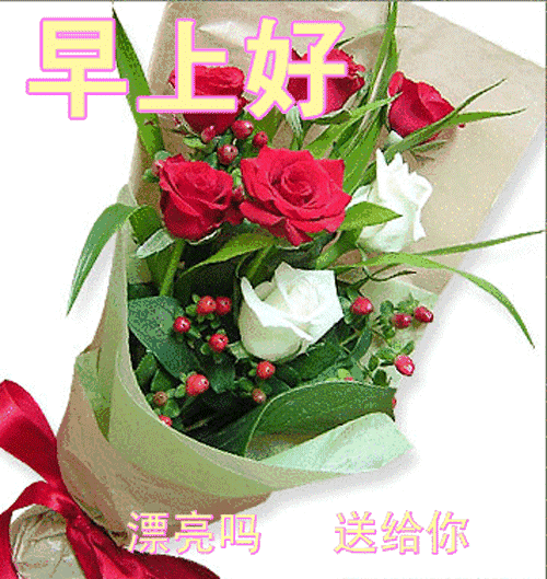 每天发朋友圈的动态问候图片带字,早晨祝福朋友的阳光