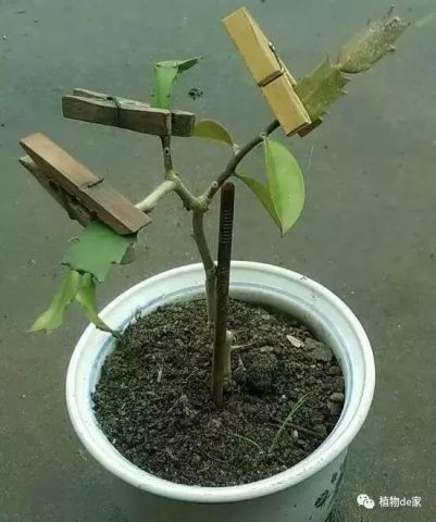 640