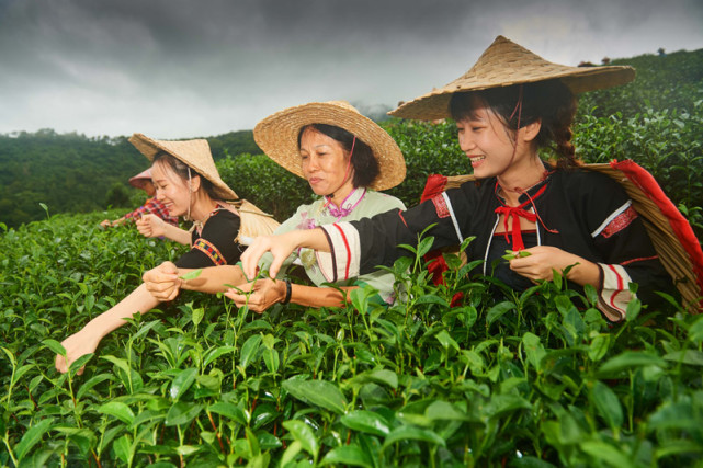 Ӱ¥��ɴ��Ӱ��ɴ�ռ۸� �����ױ�ǼұȽϺ� ������Ʒ�嵥