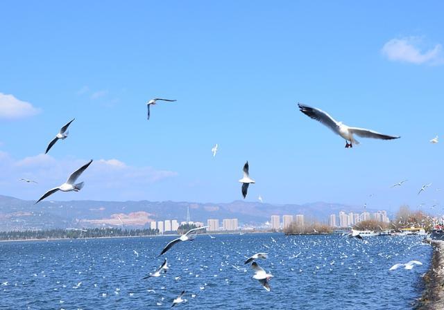 西南三省历年经济总量_西南三省