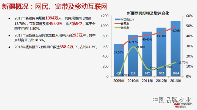 【发现了吗】2014年新疆电子商务发展报告(P