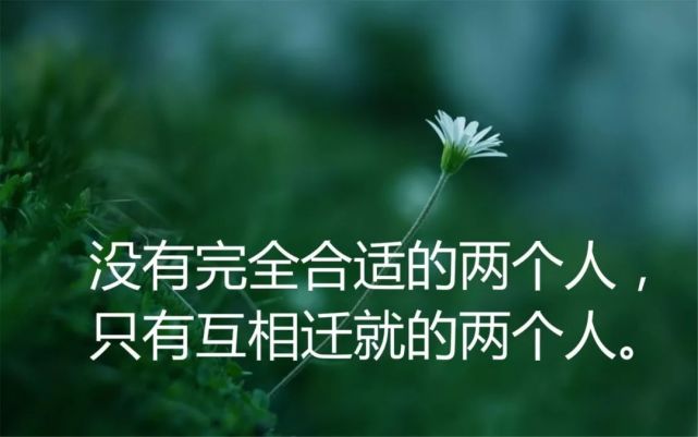 9,在犹豫要不要放弃时,就别放弃,因为你要是真的不想再坚持就不会犹豫