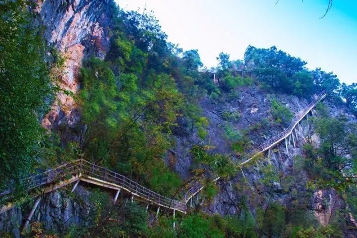 热到自燃!7月28日走进神农大峡谷纳凉避暑,给你直接降温20℃!