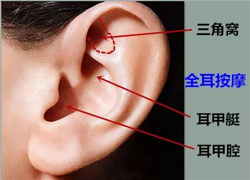 按摩耳朵也能治病?——神奇的耳穴疗法!