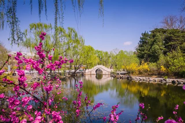 清华大学2018年上海市领军计划招生简章